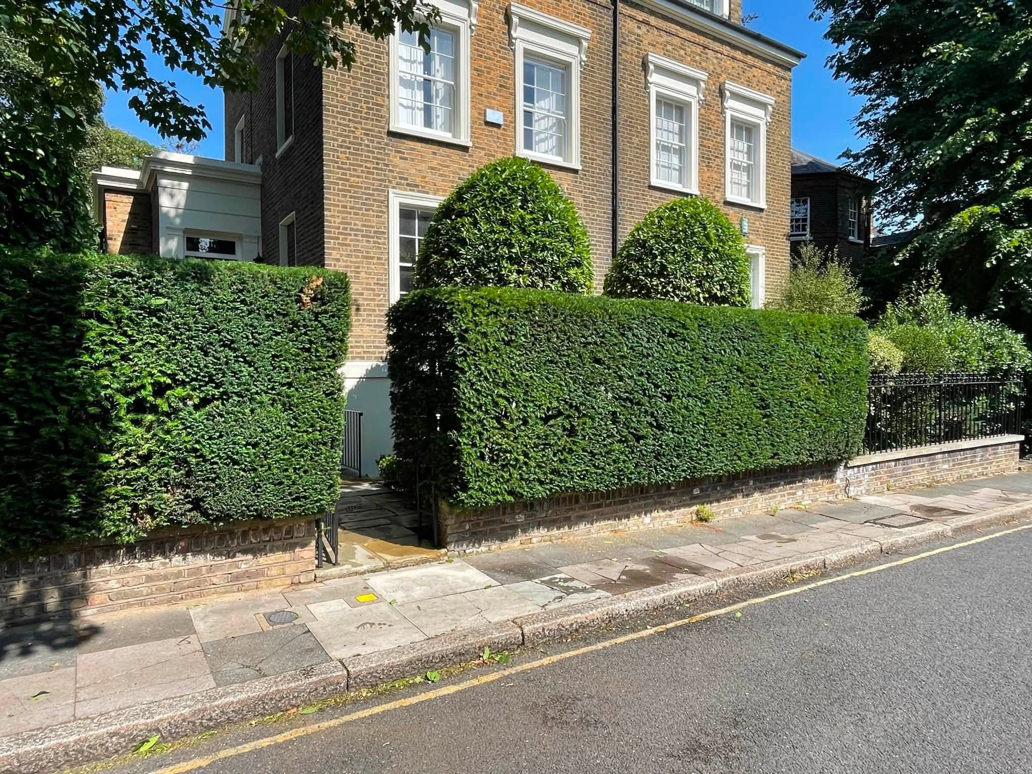 After Hedge Maintenance