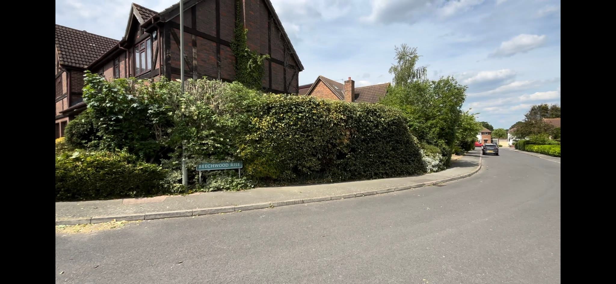 After Hedge Trimming