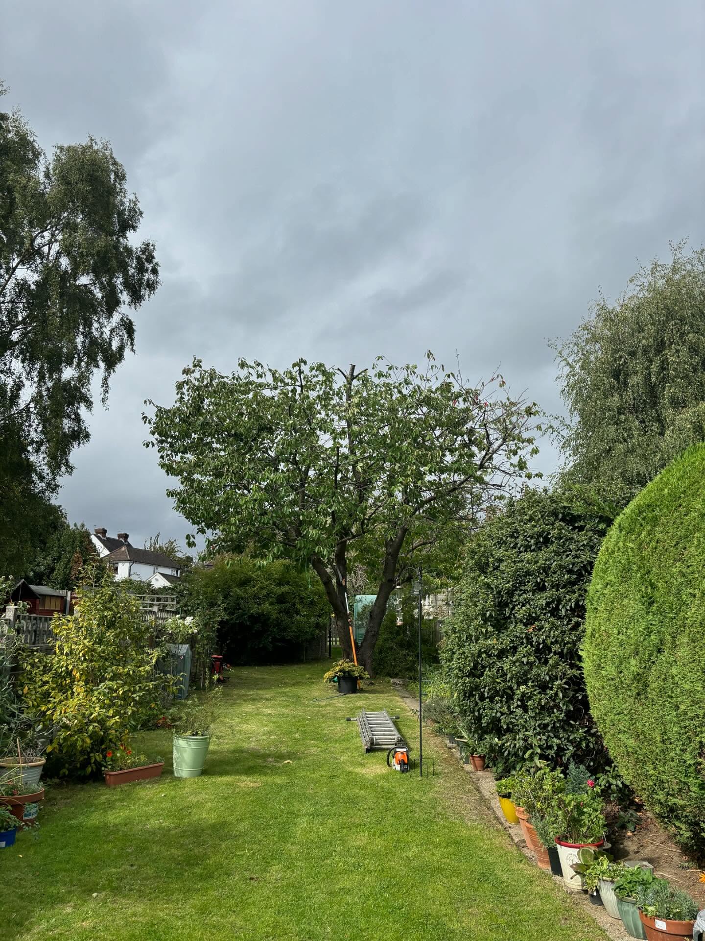 After Tree Pruning