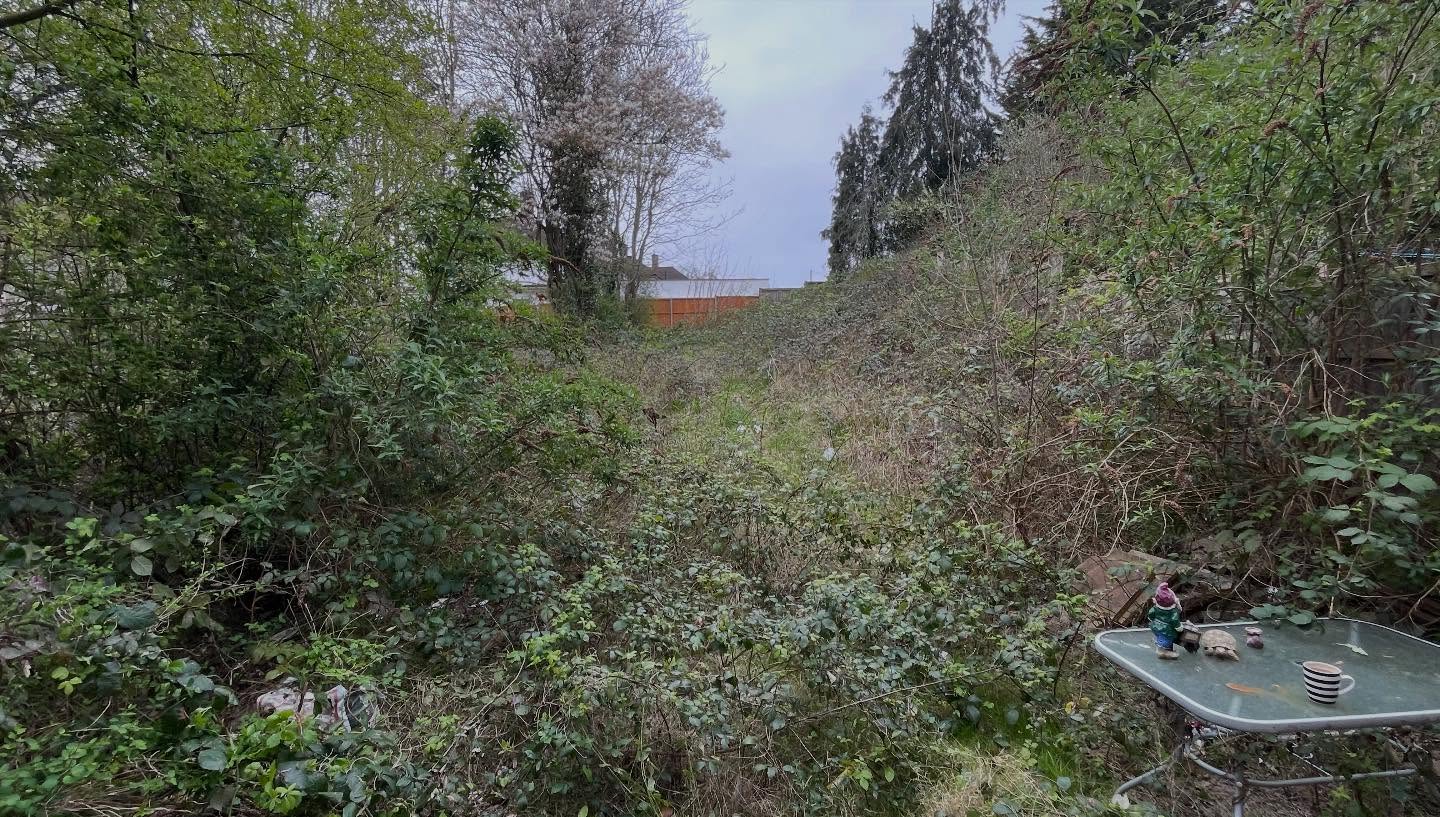 Before Garden Clearance 1