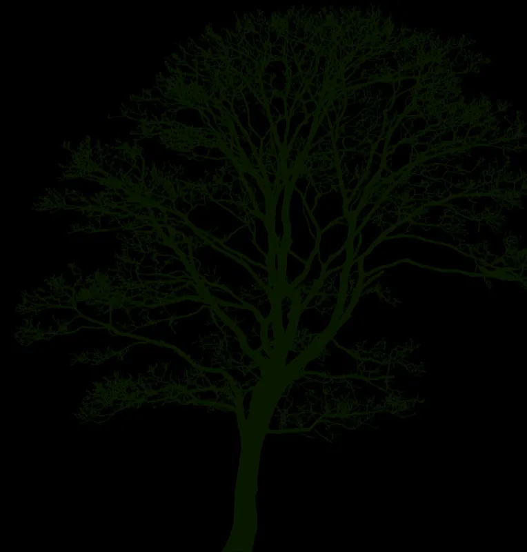 Mature trees in a garden setting representing the range of tree surgery and garden care services offered by PA Tree & Garden Care